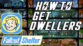 fallout shelter beginner layout